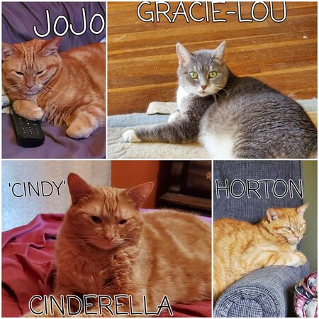 JoJo, Cindy, Horton, Gracie-Lou 