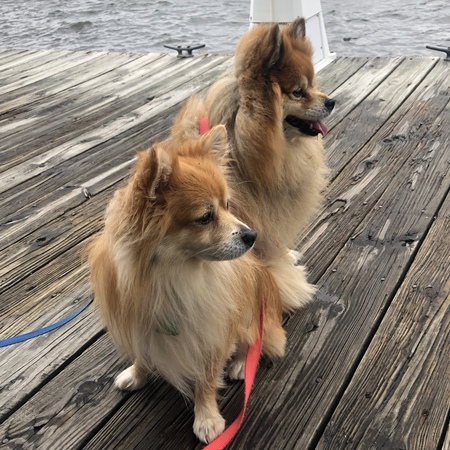 Georgie & Daphne