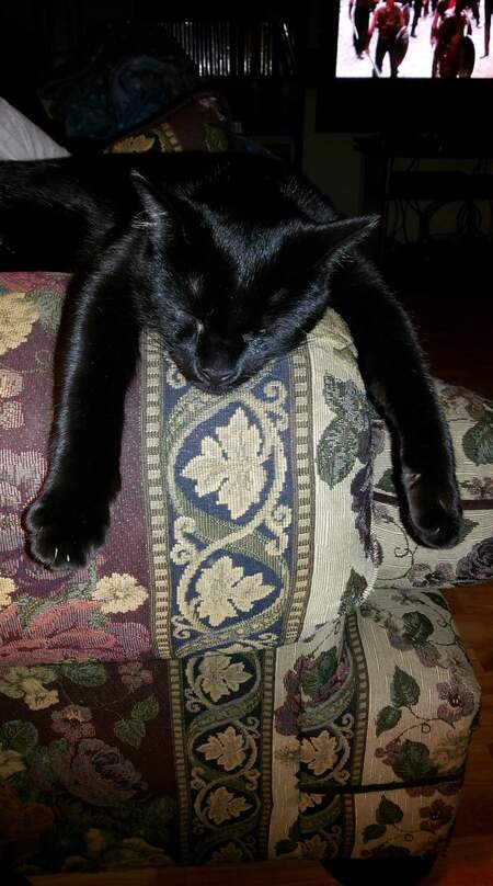 Onyx