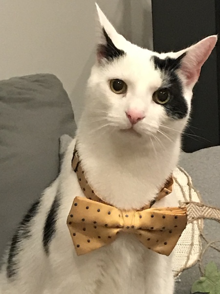Tom