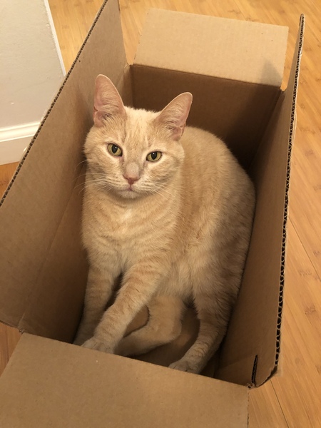 Jasper