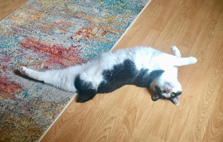 Stubby