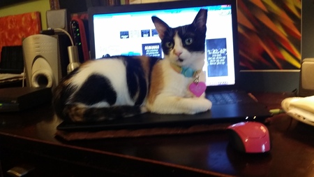 Zoey