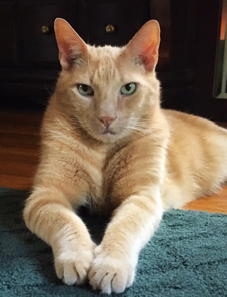 Oscar