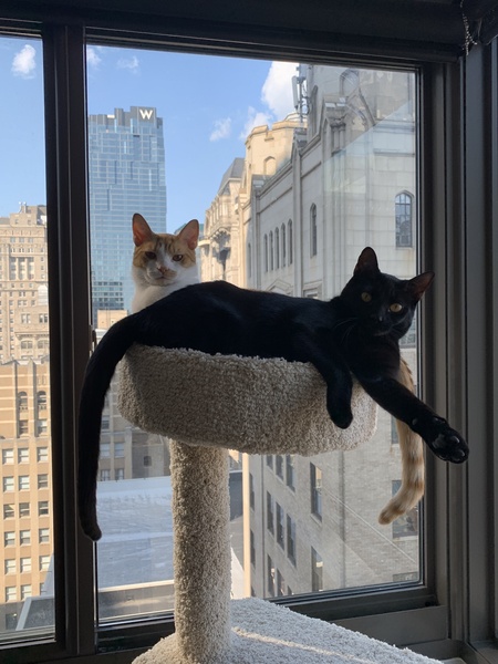 Anna and Max