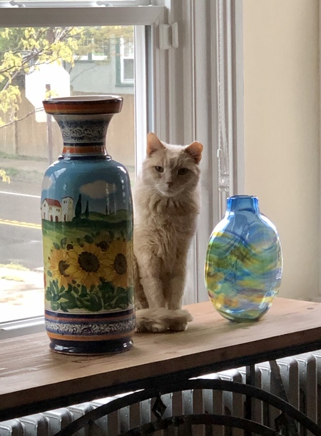 Foster 