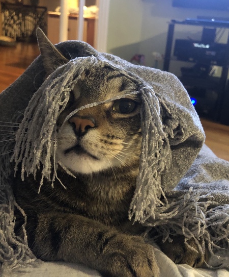 Oscar 