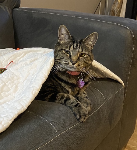 Gracie
