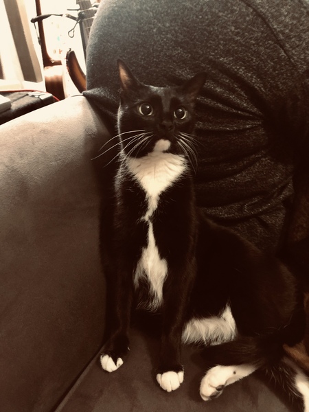 Salem