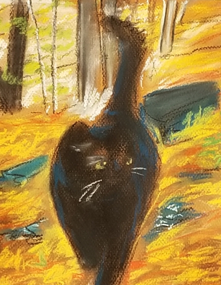 Black Cat in the Forest