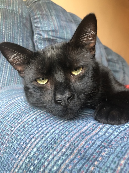 Marvin