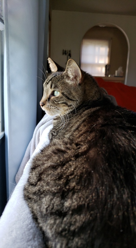 Emmitt