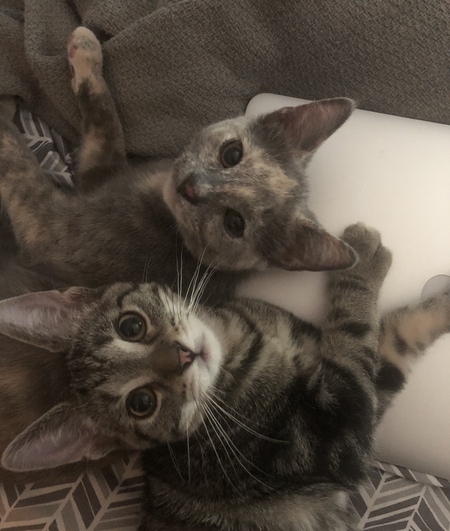Lucy and TJ
