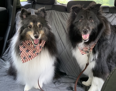 Em-ee and Bella