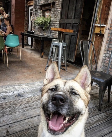 Yuki