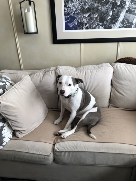 Phoebe