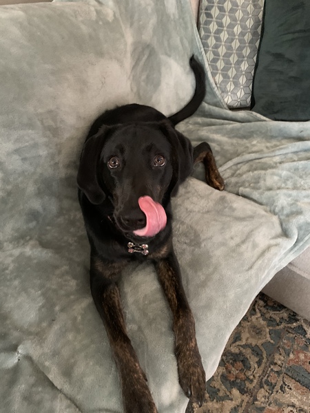 Zoey