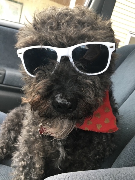Tucker
