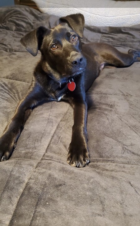 Archie
