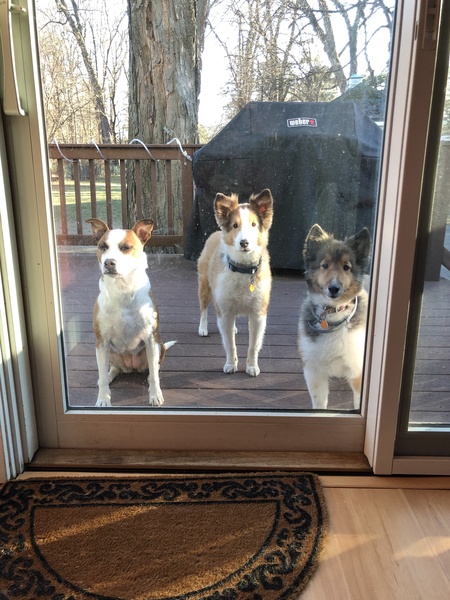 Ellie, Freddy & Bells
