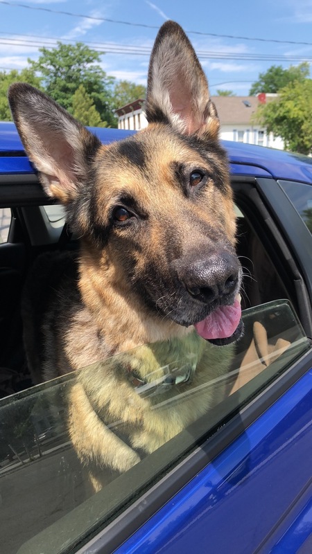 Sam