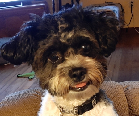 Jax