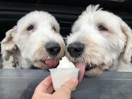 Heidi & Oliver