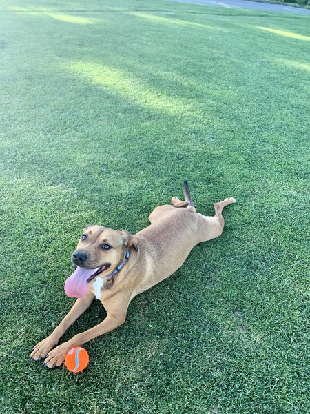 Fiona