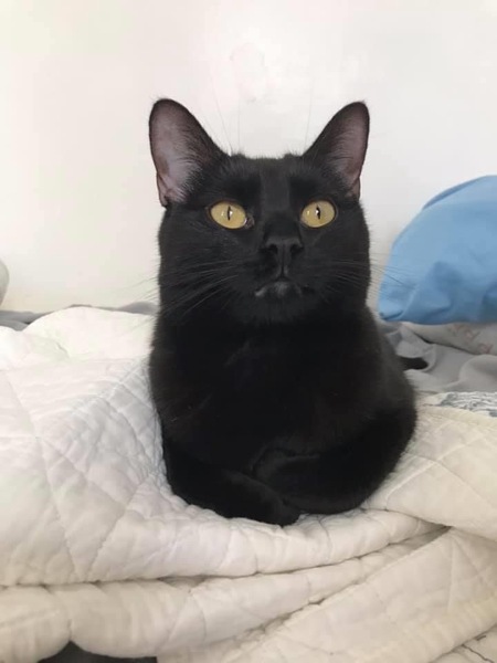 Blu