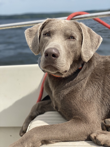 Grady