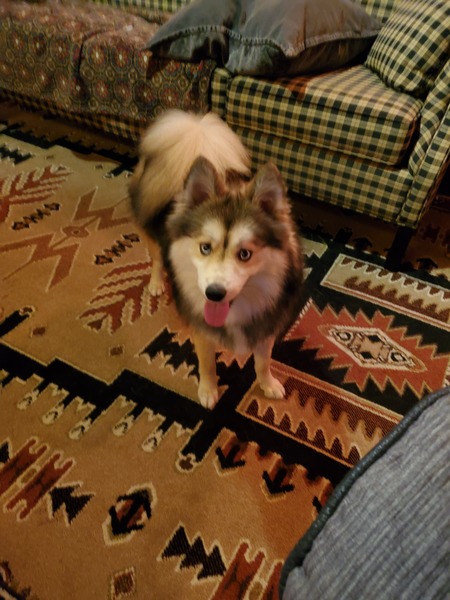 Timber