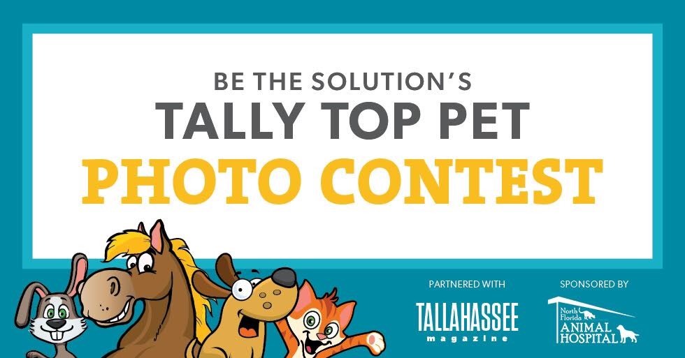 Be the Solution, Inc. | Tally Top Pet Photo Contest