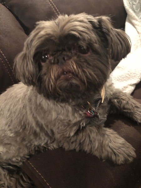 Lola