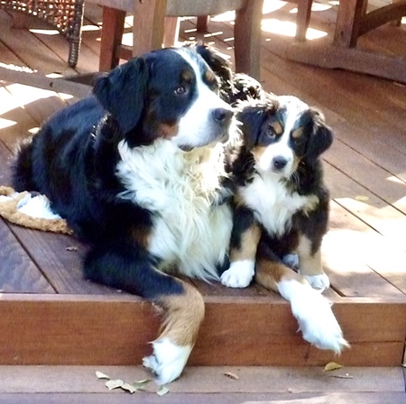 Madison and Colby