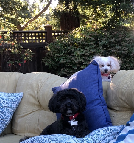 Kevin and Molly