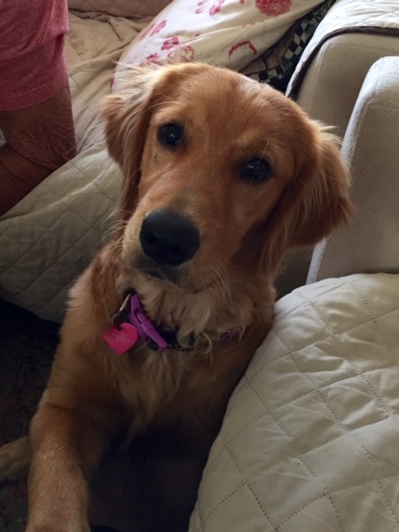 Annie