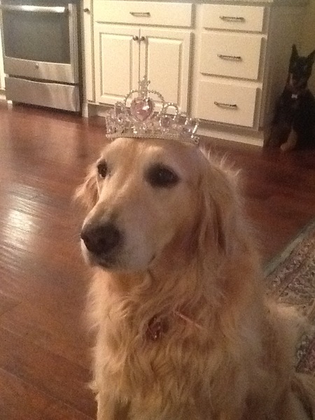 Mollie