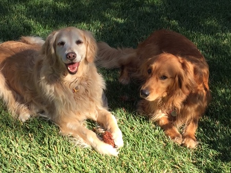 Annie and Mollie