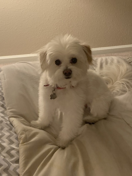Delilah