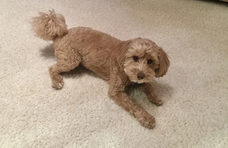 Murphy