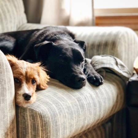 Chloe and Macie