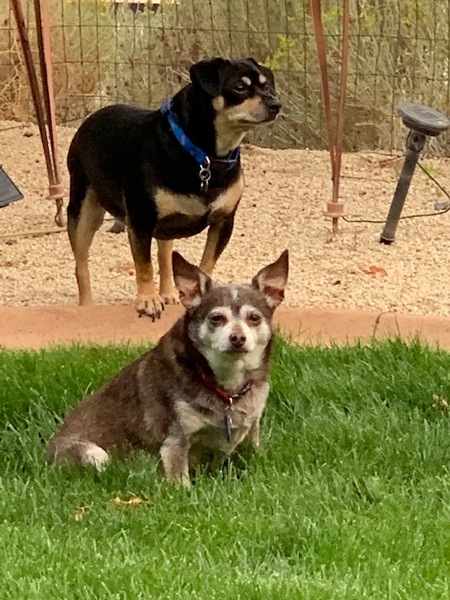 Jack and Mo