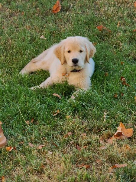 Maggie