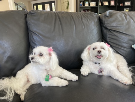 Ellie & Mia 