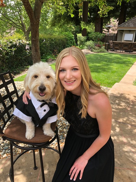 Teddy