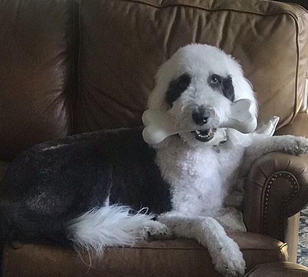 Duke