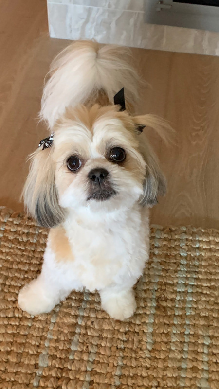 Lexi