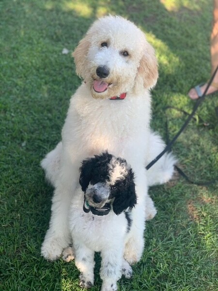 Pearl Ann & Happy Mae Fitzhenry