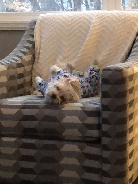 Entry image for Franki. Clicking this image will show a larger photo