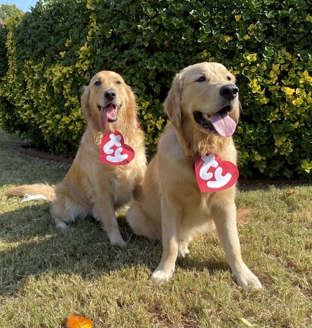 Maggie Mae & Huckleberry